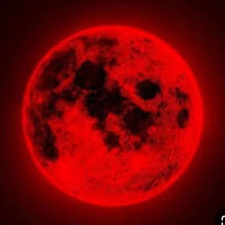 homeless351's profile picture. 