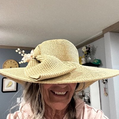 DTarkon13537's profile picture. 