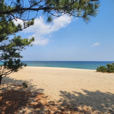 직장인 n년차🌊 경제적자유를 꿈꾸고있어요:)
재테크이야기&소소한 일상을 나누고싶어요🙂 사랑하는 사람들과 행복하게 오래오래 살아가는 삶을 목표로 합니다.
https://t.co/KQapIwfiRW