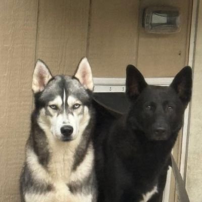 noealeman443134's profile picture. 