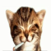 my (@mybikthiftss) 's Twitter Profile Photo