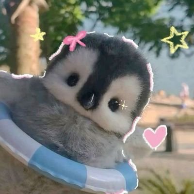 CantoniNic79342's profile picture. 