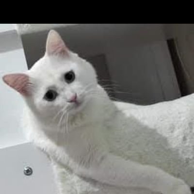 bosver_arkds's profile picture. 