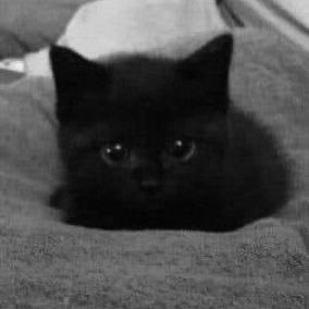 fablelex's profile picture. 🐾˖ ࣪⊹ agere sfw, nsfw dni, 18!! ૮꒰ ྀིᵔ ᵕ ᵔ ྀི꒱ა