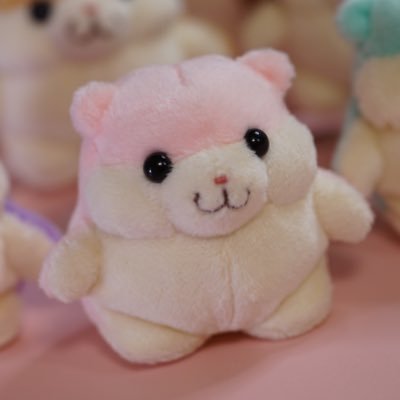 Posts with replies by ハムちゃん＋Project (@HamuKikaku) / X