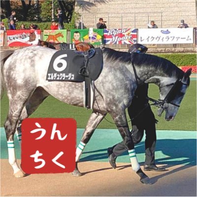 ご希望者箱馬 METAL TOYSの箱馬 – いろんな箱馬をつくっています。