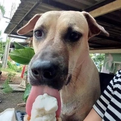 tronghieu1804's profile picture. Just a chill guy