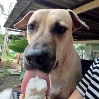 Smile (@tronghieu1804) 's Twitter Profile