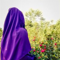 Shimu (@shimu7912) 's Twitter Profile