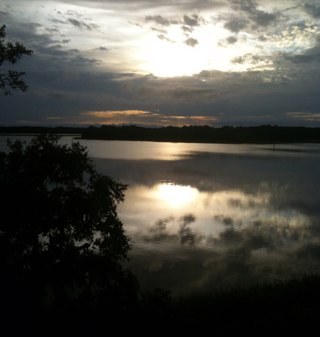 askurla's profile picture. 