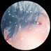 ❄天使峰 ゆきは❄リプ専 (@kokoniiru_mtkt) Twitter profile photo ❄天使峰 ゆきは❄リプ専 (@kokoniiru_mtkt) Twitter profile photo