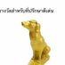 ฟ้าสดใส (@fasds18566) Twitter profile photo ฟ้าสดใส (@fasds18566) Twitter profile photo