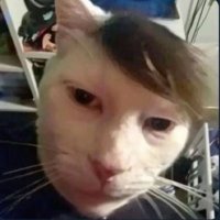 เขื่อนเอง (ติ๊กฟ้า) (@keonlhorza) 's Twitter Profile Photo เขื่อนเอง (ติ๊กฟ้า) (@keonlhorza) 's Twitter Profile Photo