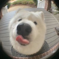 -u- (@wizyouuu) 's Twitter Profile