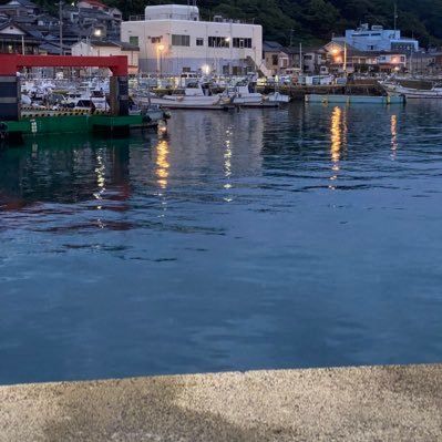 yosukesakana's profile picture. 最近釣りにハマり始めました😊