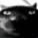 just_ash0's profile picture. 