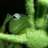 kaymangedelail's profile image