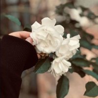 Şevval Nur (@nuristanya) 's Twitter Profile