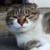 RITCHAN (@hideyuki0408) Twitter profile photo RITCHAN (@hideyuki0408) Twitter profile photo