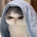 เผื่อมึงไม่รู้กูไม่ใช่แนว (@warara_shimi) Twitter profile photo เผื่อมึงไม่รู้กูไม่ใช่แนว (@warara_shimi) Twitter profile photo