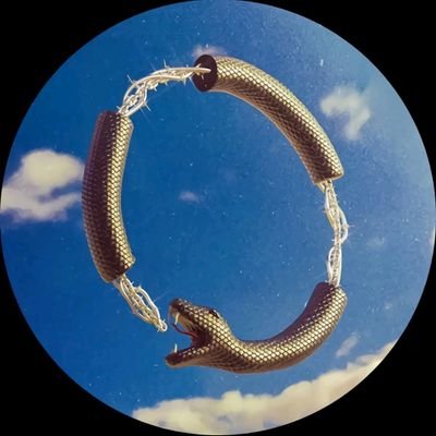 fortuneobi141's profile picture. Airdrop Hunter 🪂 | Web3 Alpha 📡 |Crypto enthusiast.  DM me for your P2P  💱.