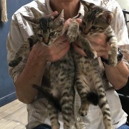ひろえさんのプロフィール画像