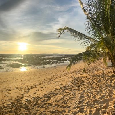 DadscoDadsco's profile picture. 