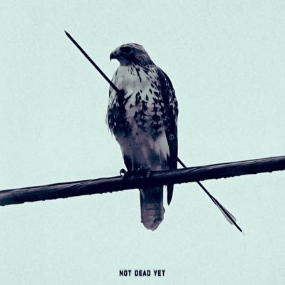 eshe_pozhivem's profile picture. indomitable human spirit