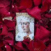 Isabel Librero (@isabellm17) 's Twitter Profile Photo Isabel Librero (@isabellm17) 's Twitter Profile Photo