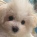 さち (@idol_is__) Twitter profile photo さち (@idol_is__) Twitter profile photo