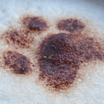 한 달에 2-3kg 감량 목표로 식단 운동 인바디 올리는 계정 / 식단 매우 자유로움 주의..거의 음식 사진을 많이 올려요
