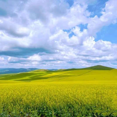 cometwo162747's profile picture. 我认钱不认人