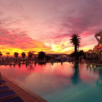 Hgishir13Ssuzjc's profile picture. There are so many idiots around us that we don't want to be around