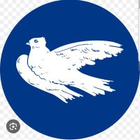 Stefan Müller (@stefanm24019840) 's Twitter Profile