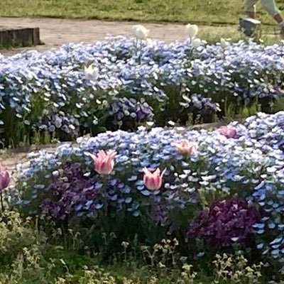 うつるさんのプロフィール画像