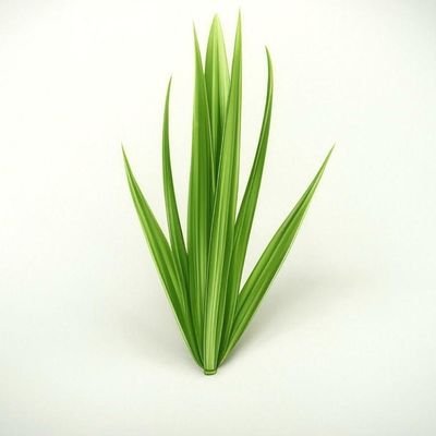 💻 Passive Income with Grass 🌱 | Tier VII: Diamond | Earn GRASS Tokens by sharing your network! Join: https://t.co/ssfQ1vVUSV