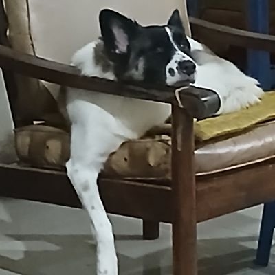 chrisManoppo31's profile picture. 