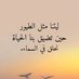 ابومرام الحداد (@abwmrama68299) Twitter profile photo ابومرام الحداد (@abwmrama68299) Twitter profile photo