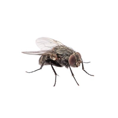 VukasOc's profile picture. https://t.co/9QkPEII2MS