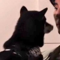 F! (@qkx0ozp) 's Twitter Profile Photo F! (@qkx0ozp) 's Twitter Profile Photo