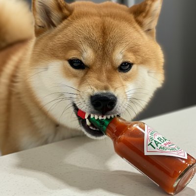 tabasco_kn's profile picture. 1日８時間寝るゾ
寝ないとハゲるゾ