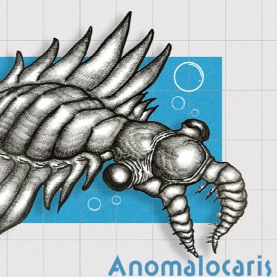 アインツさんのプロフィール画像