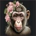 Andreas Joona Makela (@andreasjoo51481) Twitter profile photo