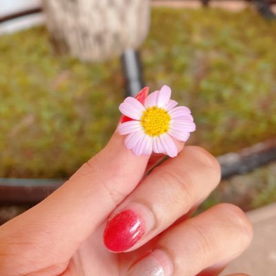 maccharisss's profile picture. Bangtan💜 | T | สัพเพเหระ | ติ่ง | รีวิวของใช้จริง | Keng Namping