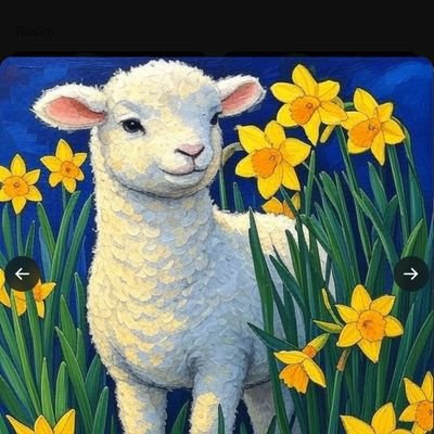 yunus12153's profile picture. 