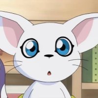るあん (@ruan393977) 's Twitter Profile
