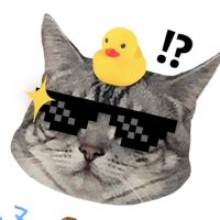 ℋ (@hiba1127) Twitter profile photo