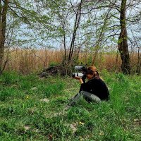 Marion Devauchelle (@maridevauch) 's Twitter Profile