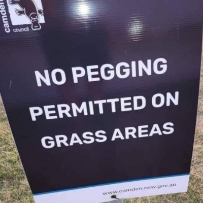 0xPegging's profile picture. 