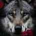 Emin Hadiyev (@eminhadiye99359) Twitter profile photo Emin Hadiyev (@eminhadiye99359) Twitter profile photo